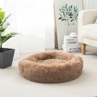 glamorous dog beds