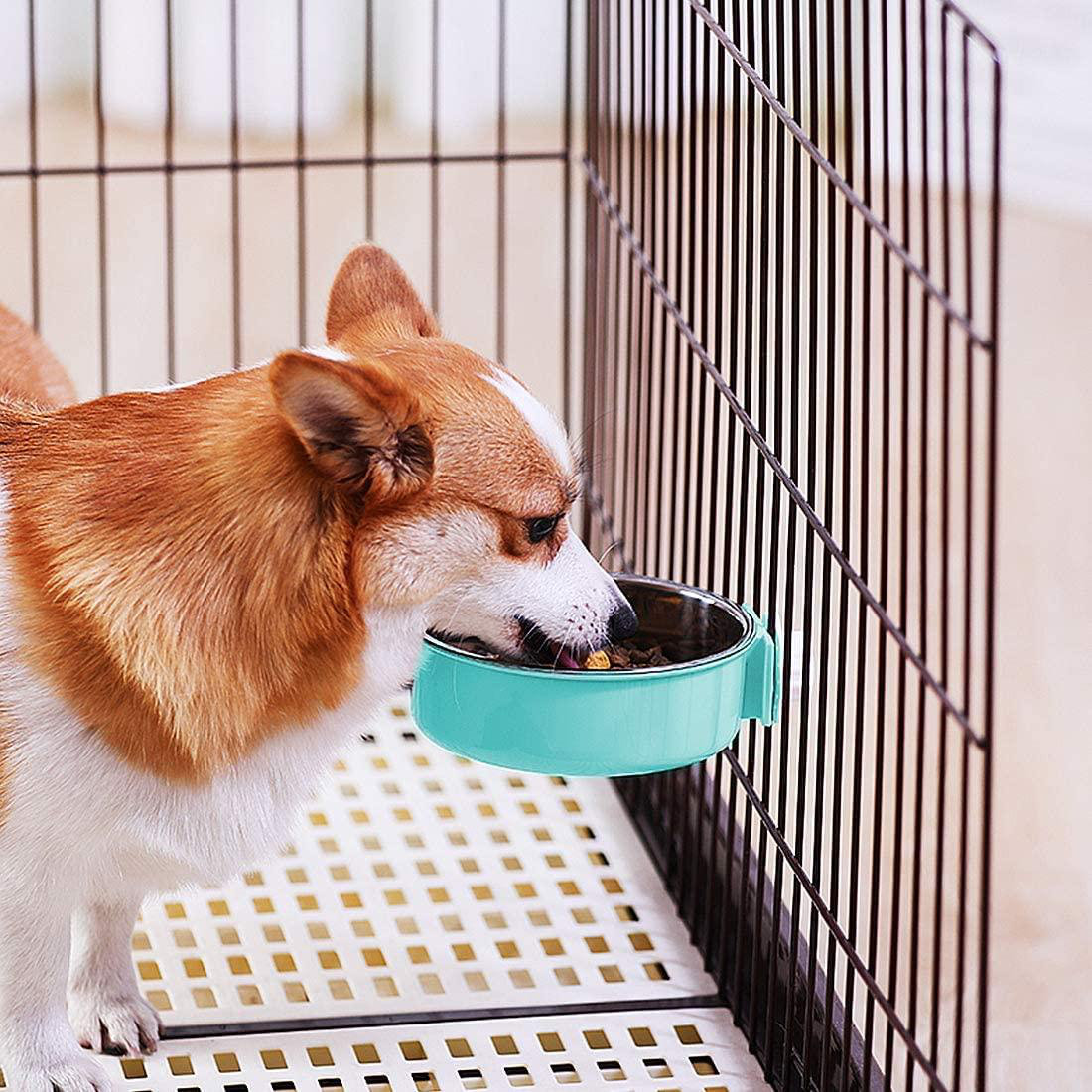 hanging water bowl for dog crate