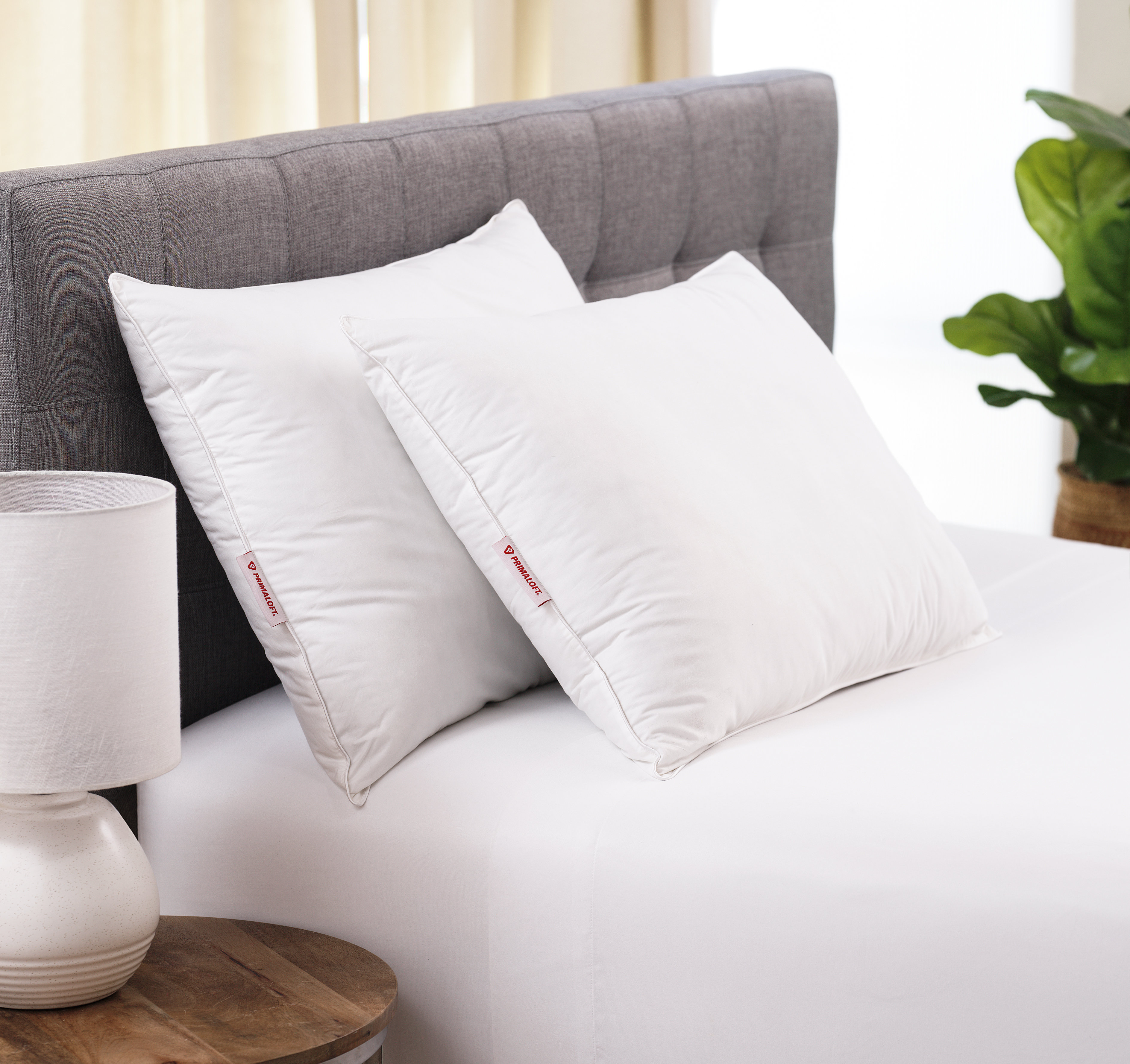 primaloft support pillow