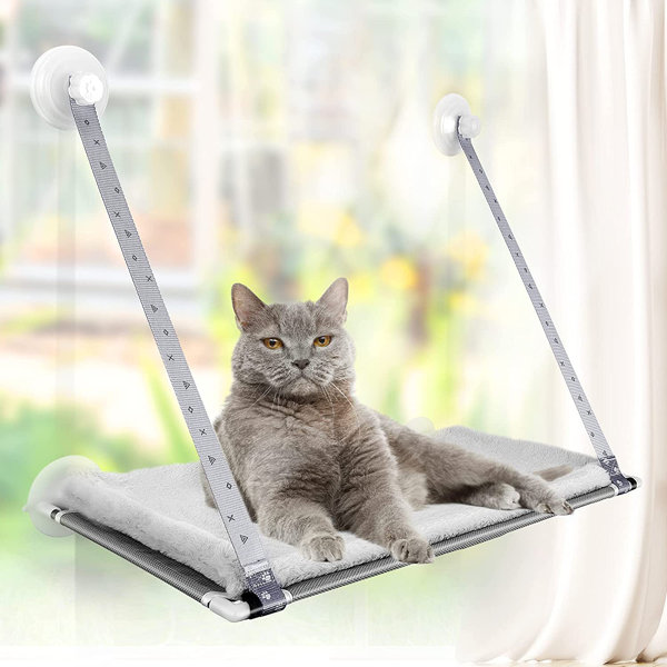 Cat Window Perch Cat Hammock 360 Degree Sunbath Cat Window Bed for Indoor Resting Heavy Duty Suction Cups /& Strong Structure Design Cat Window Seat Holds up to 50 lbs