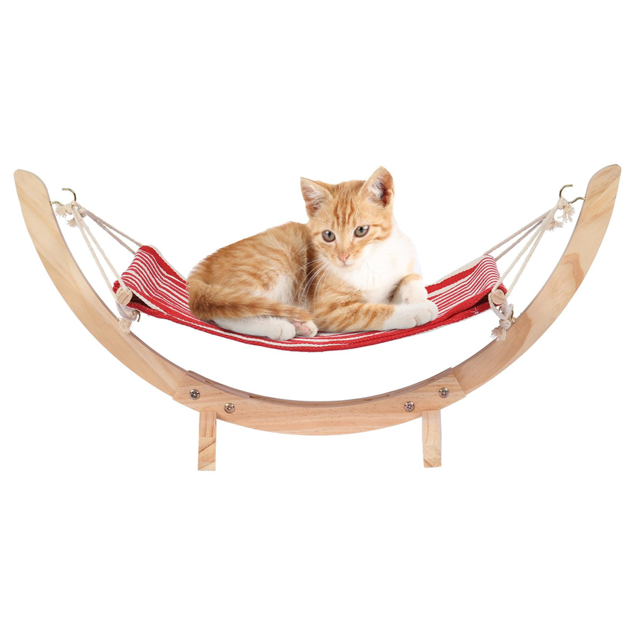 cat hammock hanging from ceiling