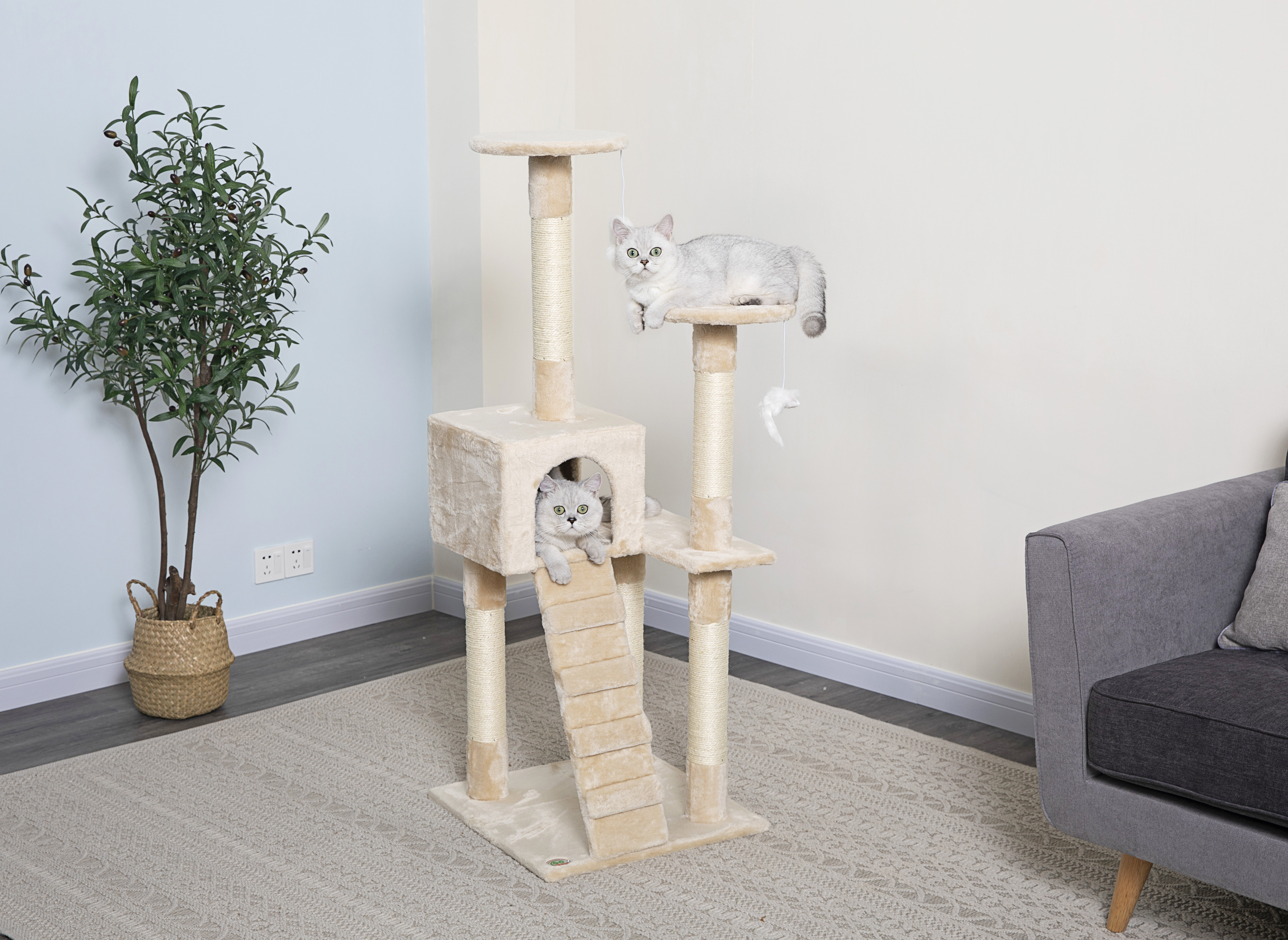 52 inch cat tree