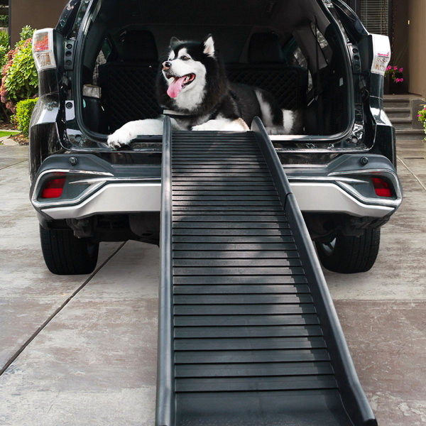 ramps for dogs to get into cars