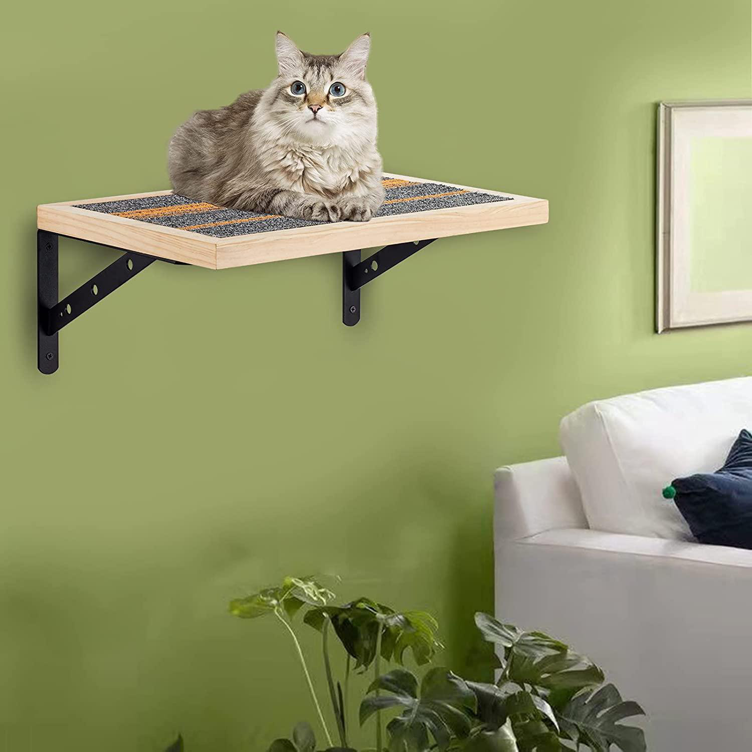 kitty wall shelves