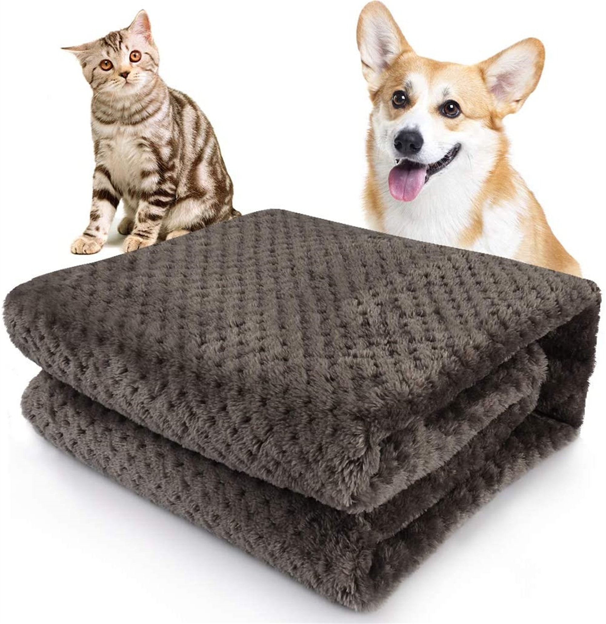 pet throw blanket