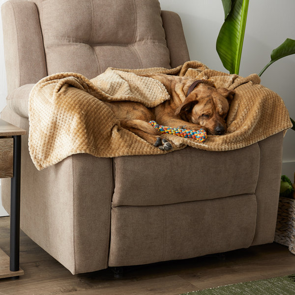 furniture throws for pets