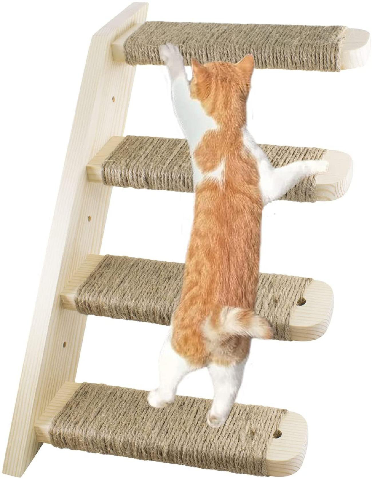 pet cat ladder