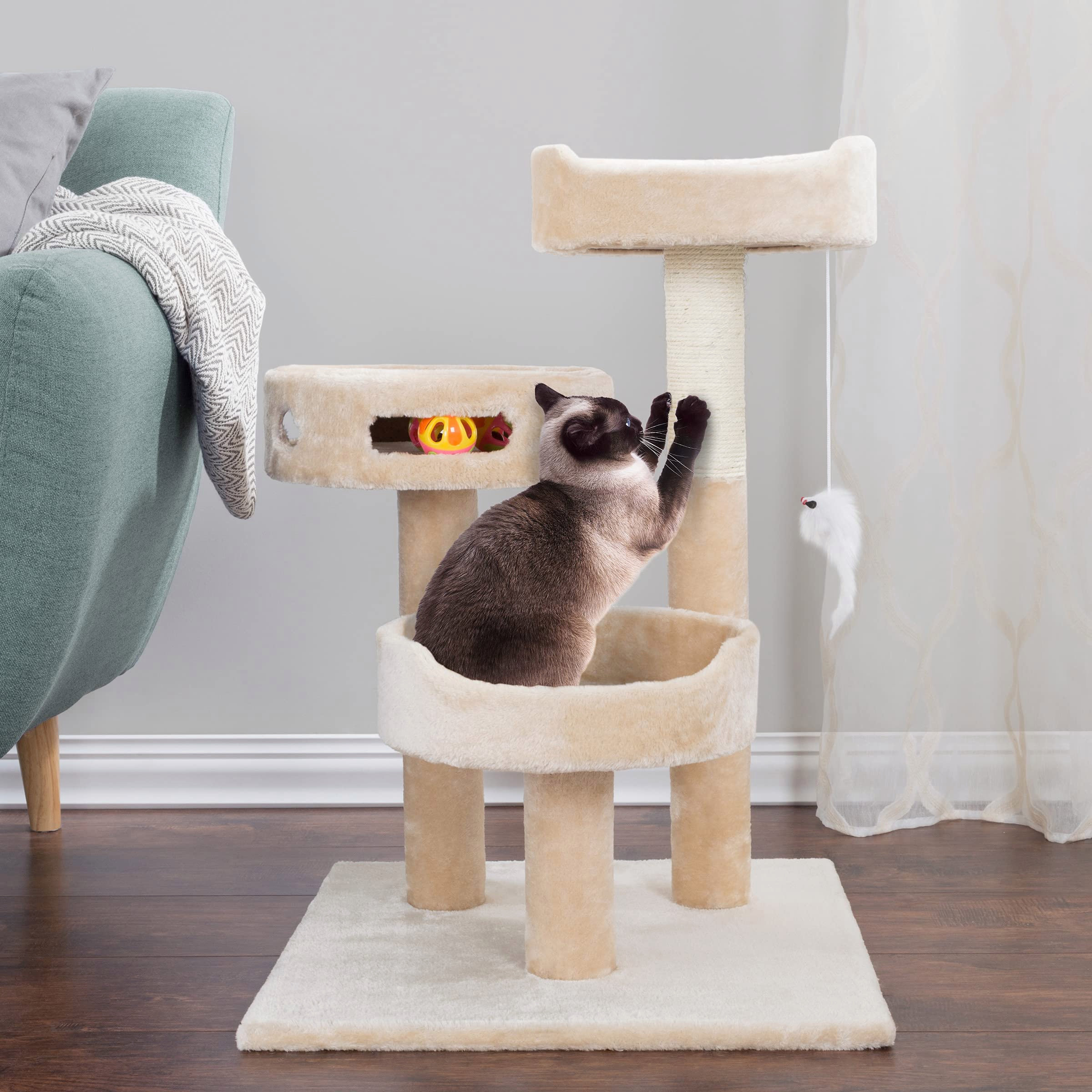 cat wheel tower