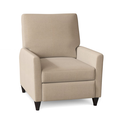 Ziolkowski 31" Wide Manual Recliner by Wade Logan