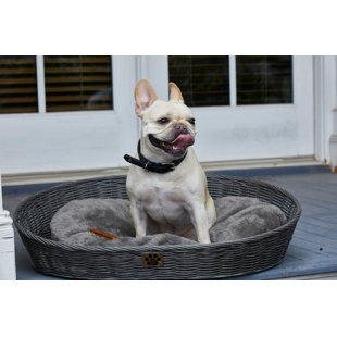 round wicker dog bed