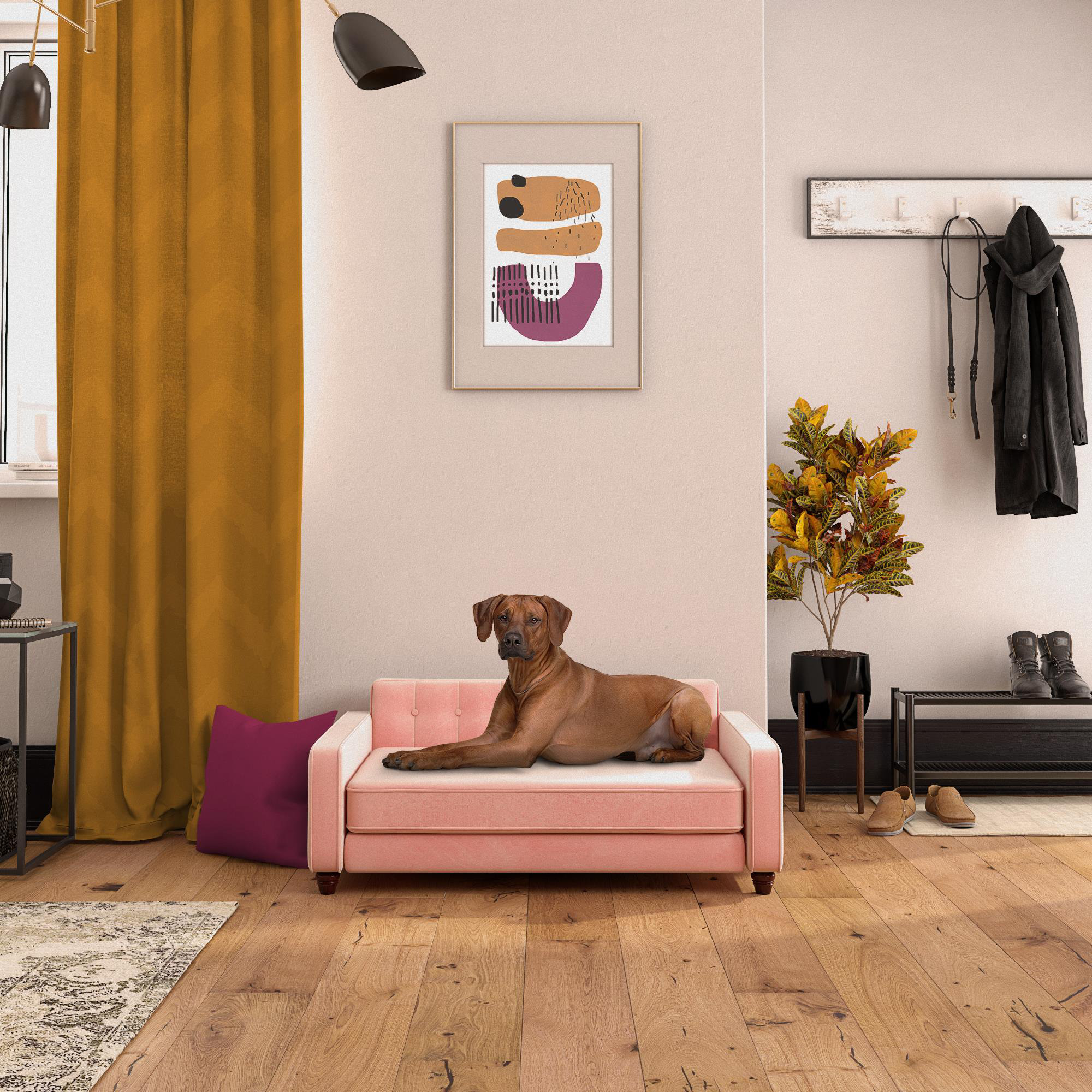 wayfair jackson dog sofa