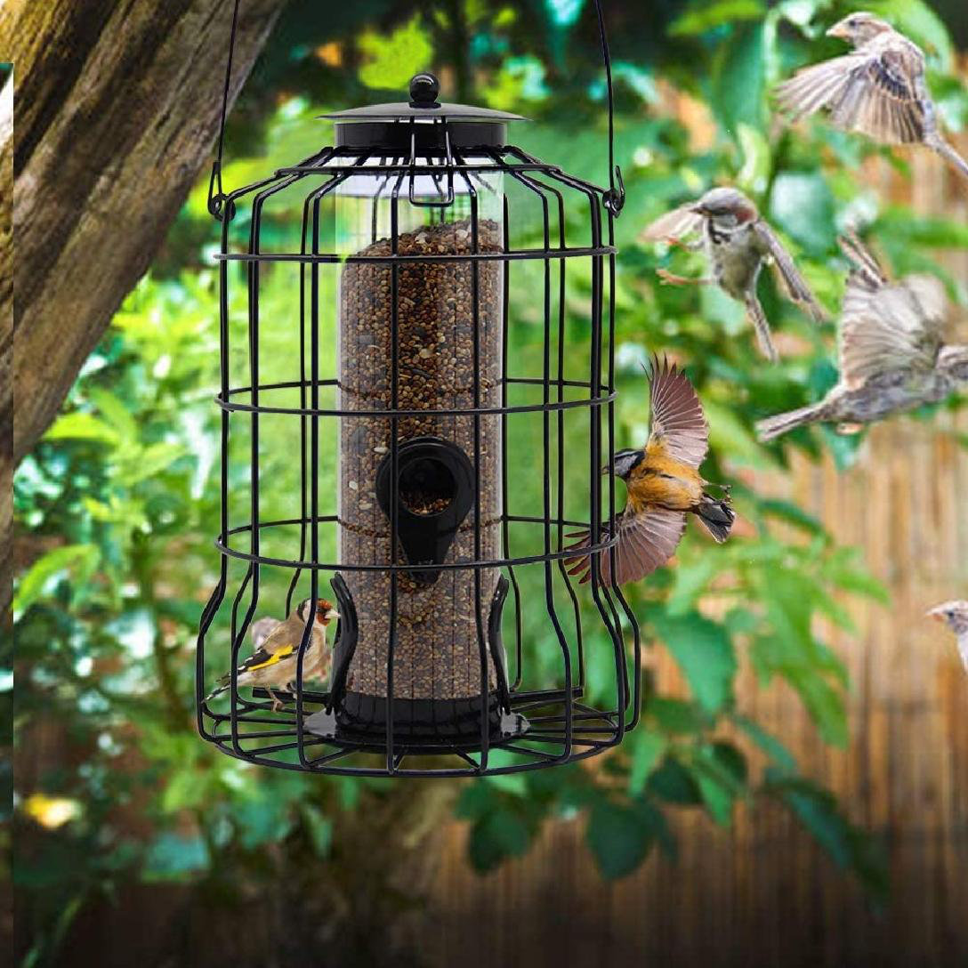 Wild Bird Attraction Seed Feeder Metal Birdfeeder Cage with Squirrel Guard New 