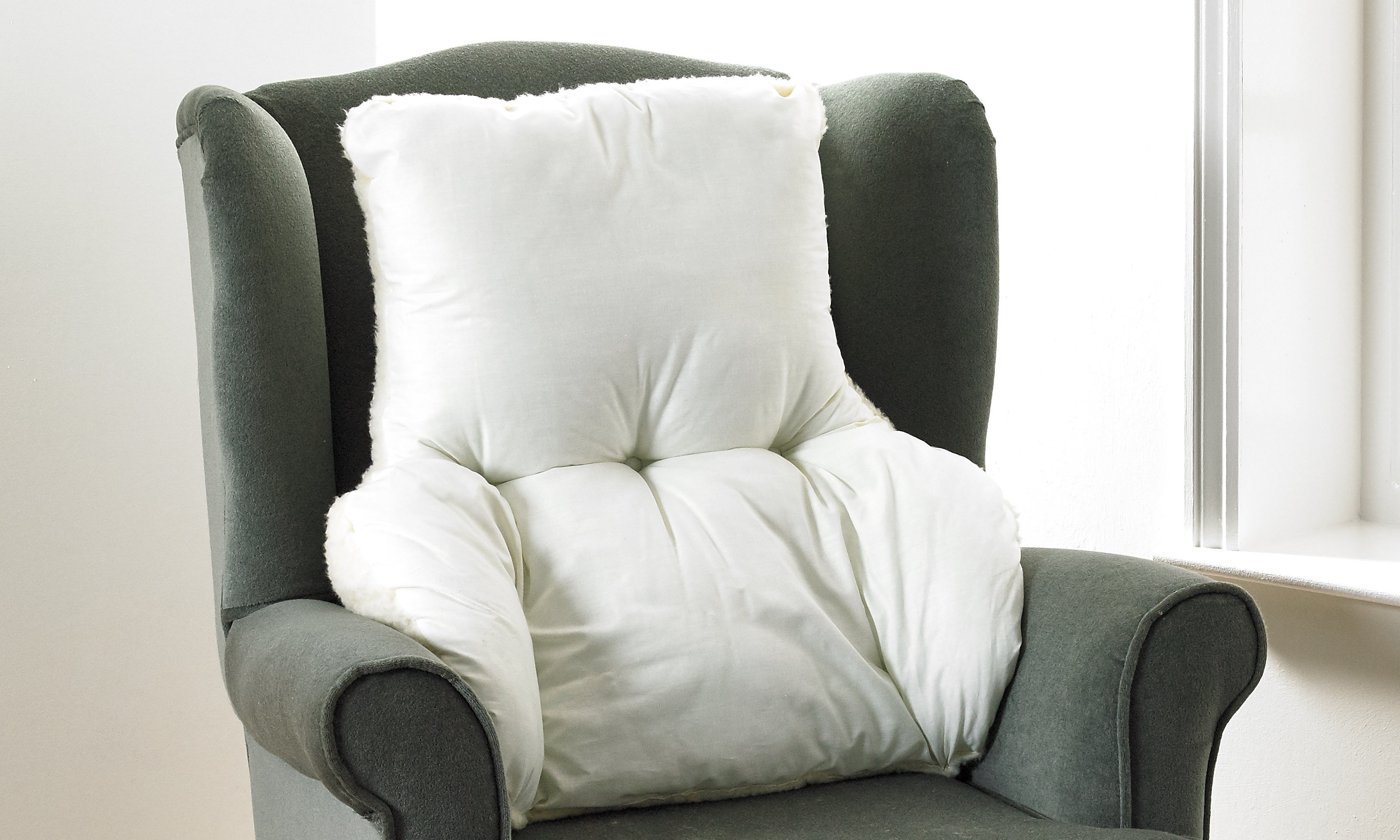 cosy back support cushion