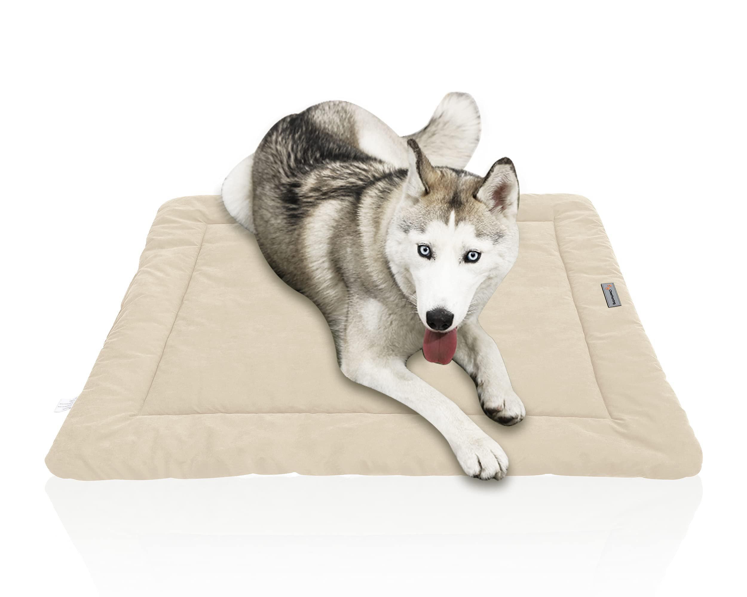 outdoor pet mat