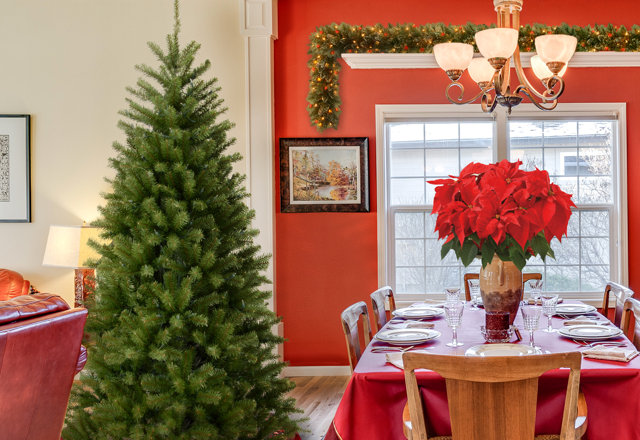 Our Best-Selling Christmas Trees