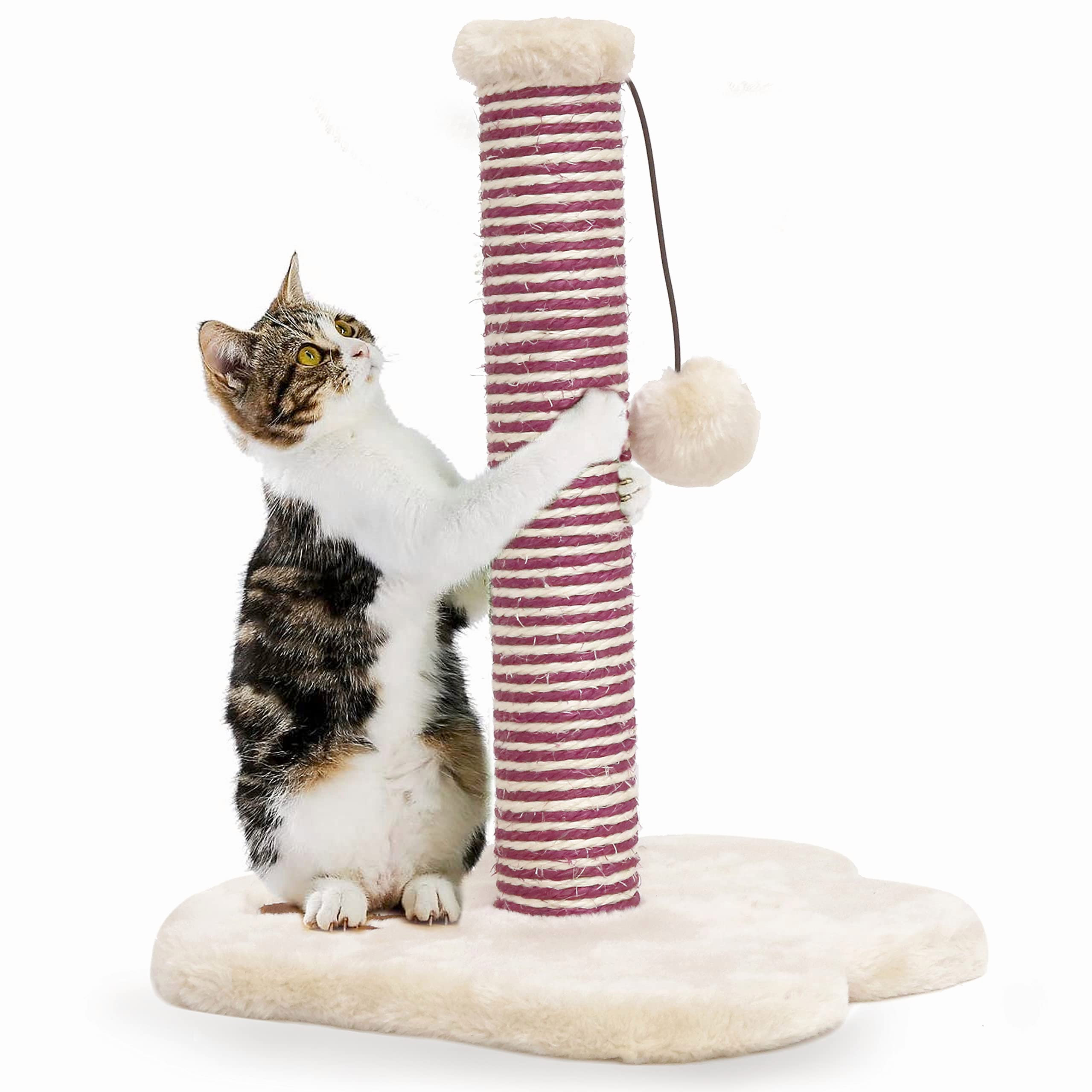 strong cat scratching post
