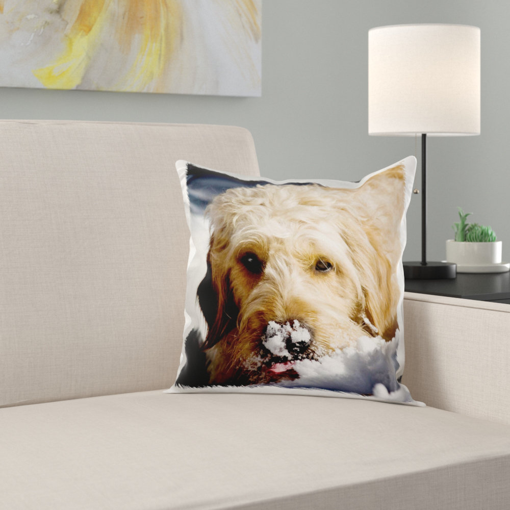 dog pillow case covers