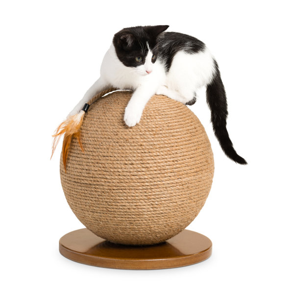 cat scratching post