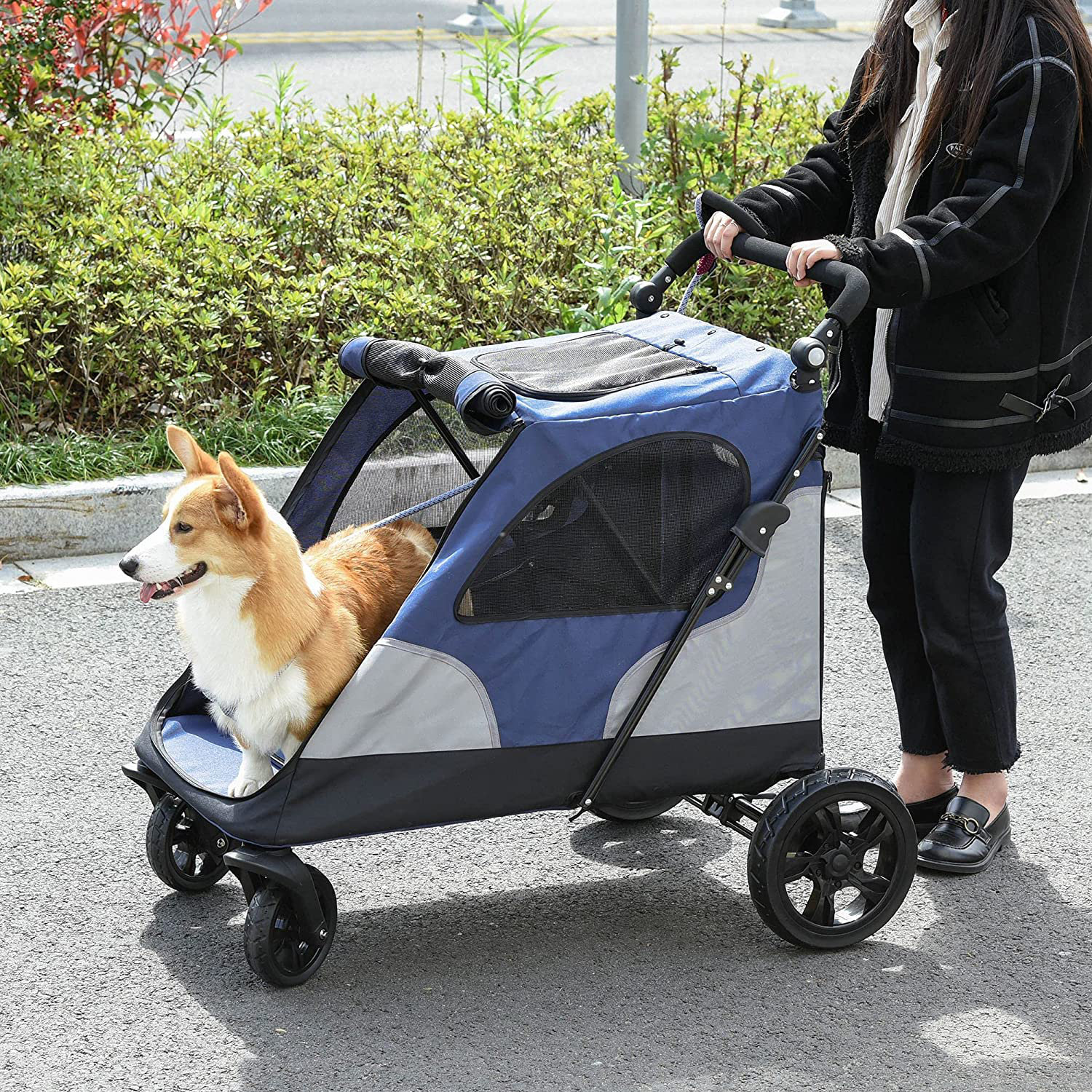 corgi stroller