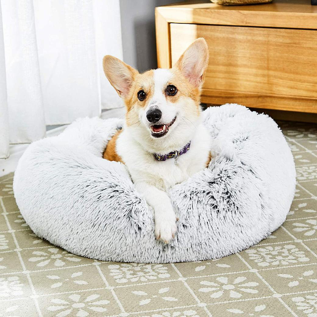 large fluffy dog bed