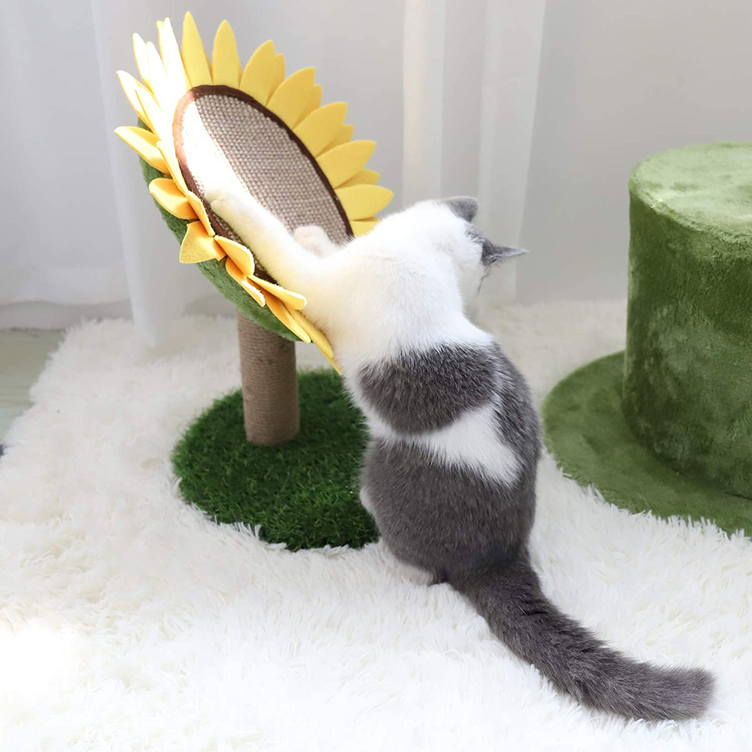 sunflower scratching post