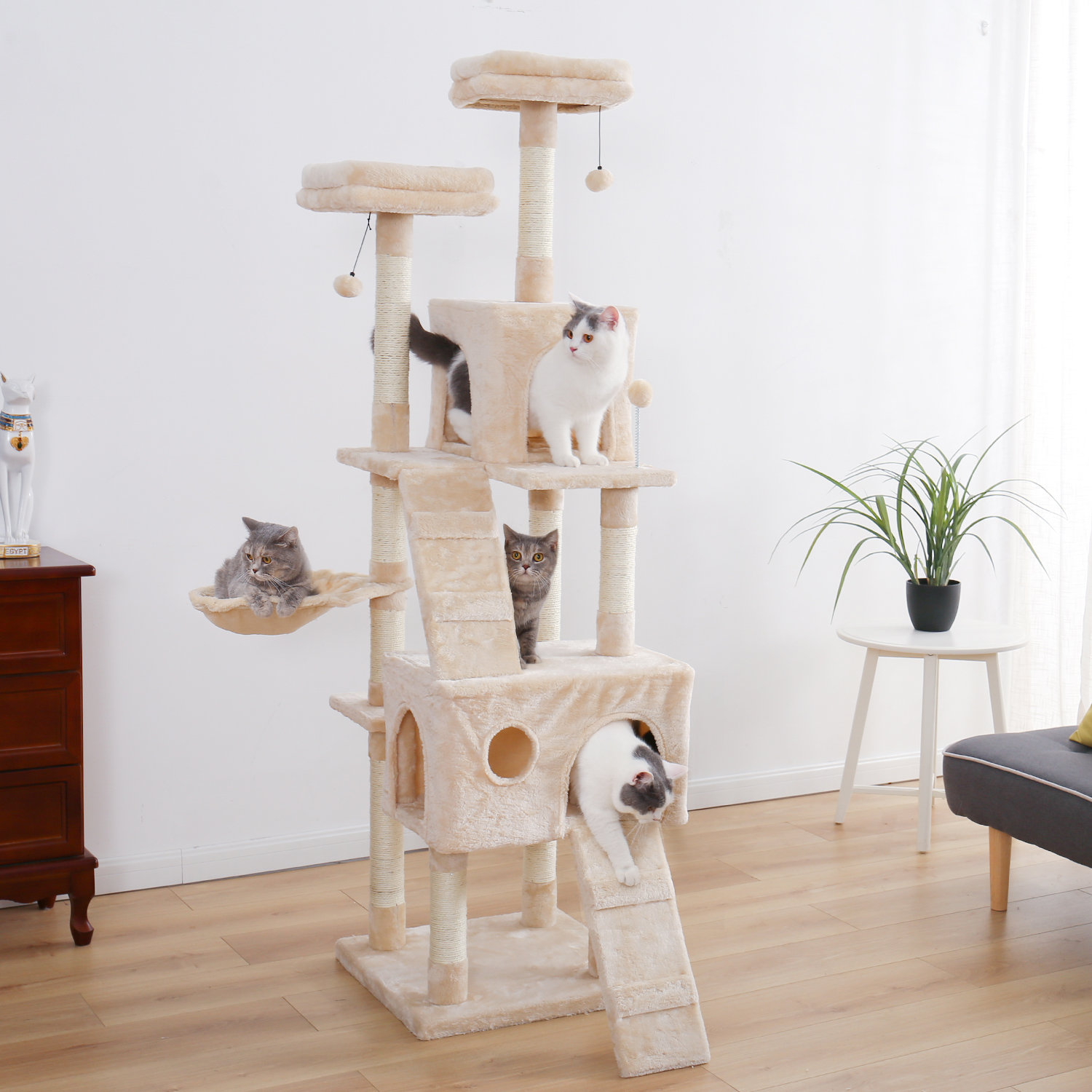 single cat condo