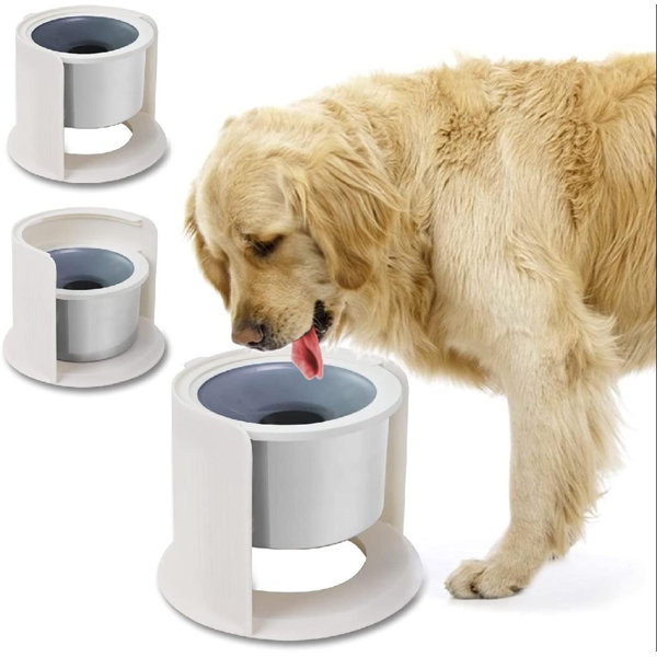 cleaning dog bowls