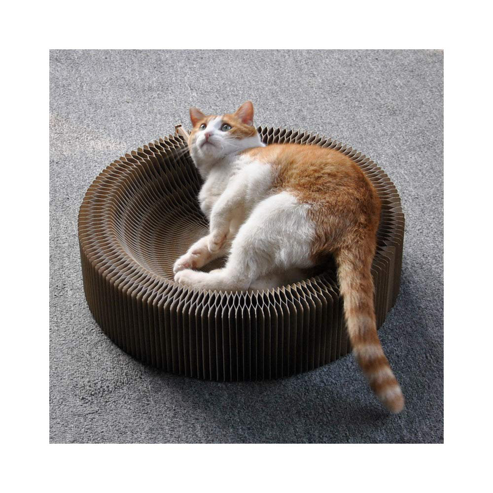 collapsible cat scratcher