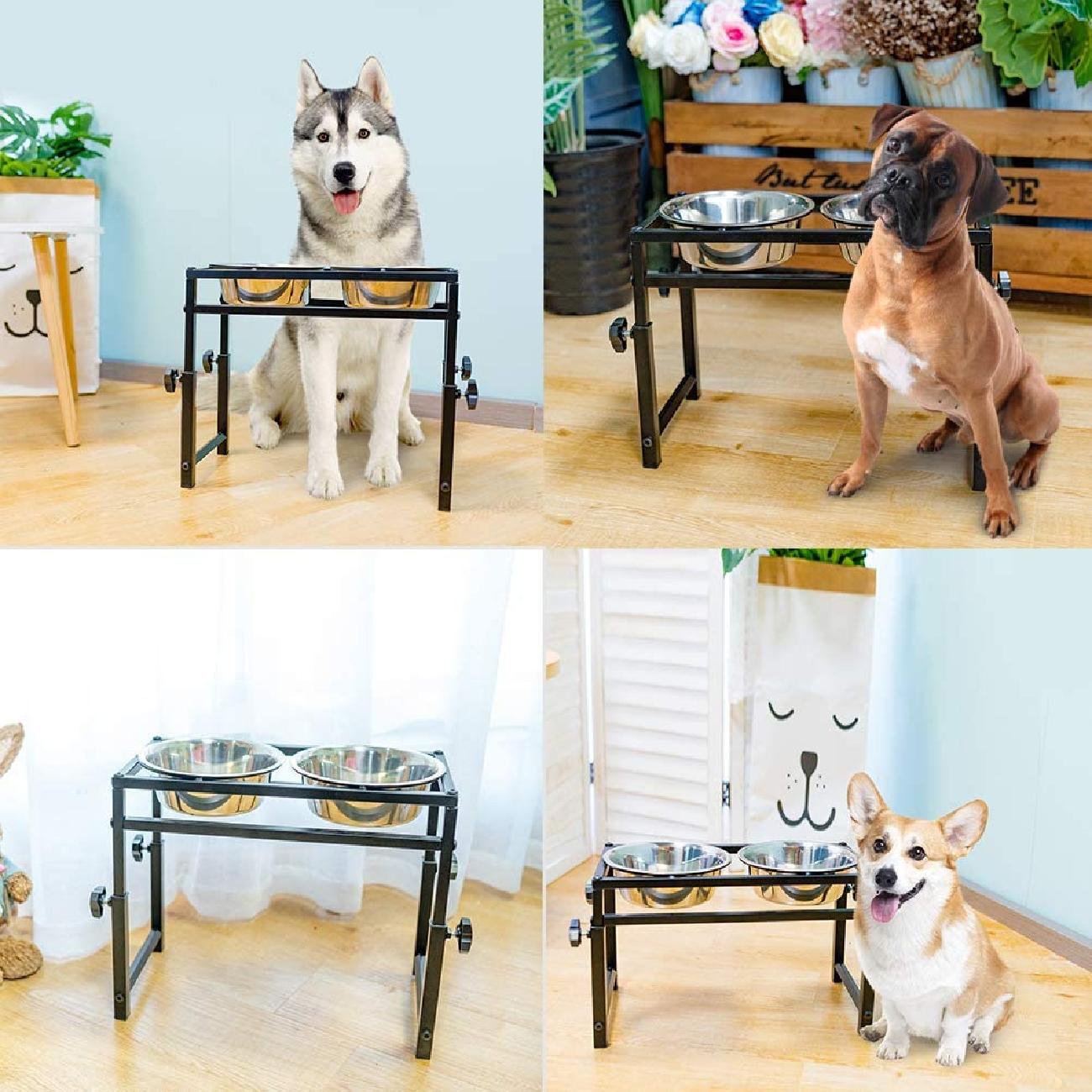 petz dogz 2 glitches petz dogz 2 glitches