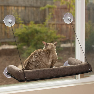cat bed attached to window