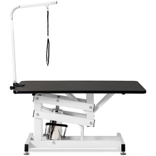 hydraulic grooming table