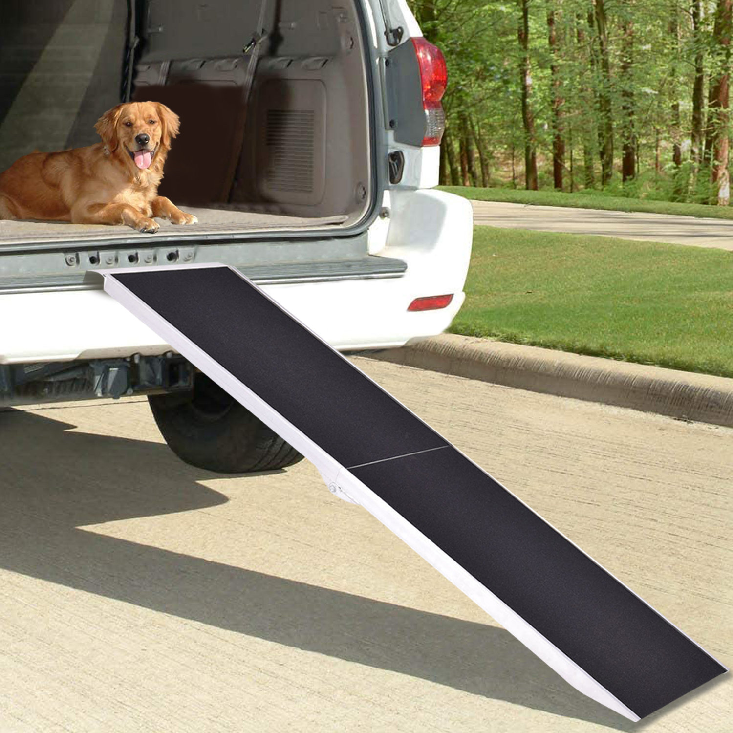 dog loading ramp