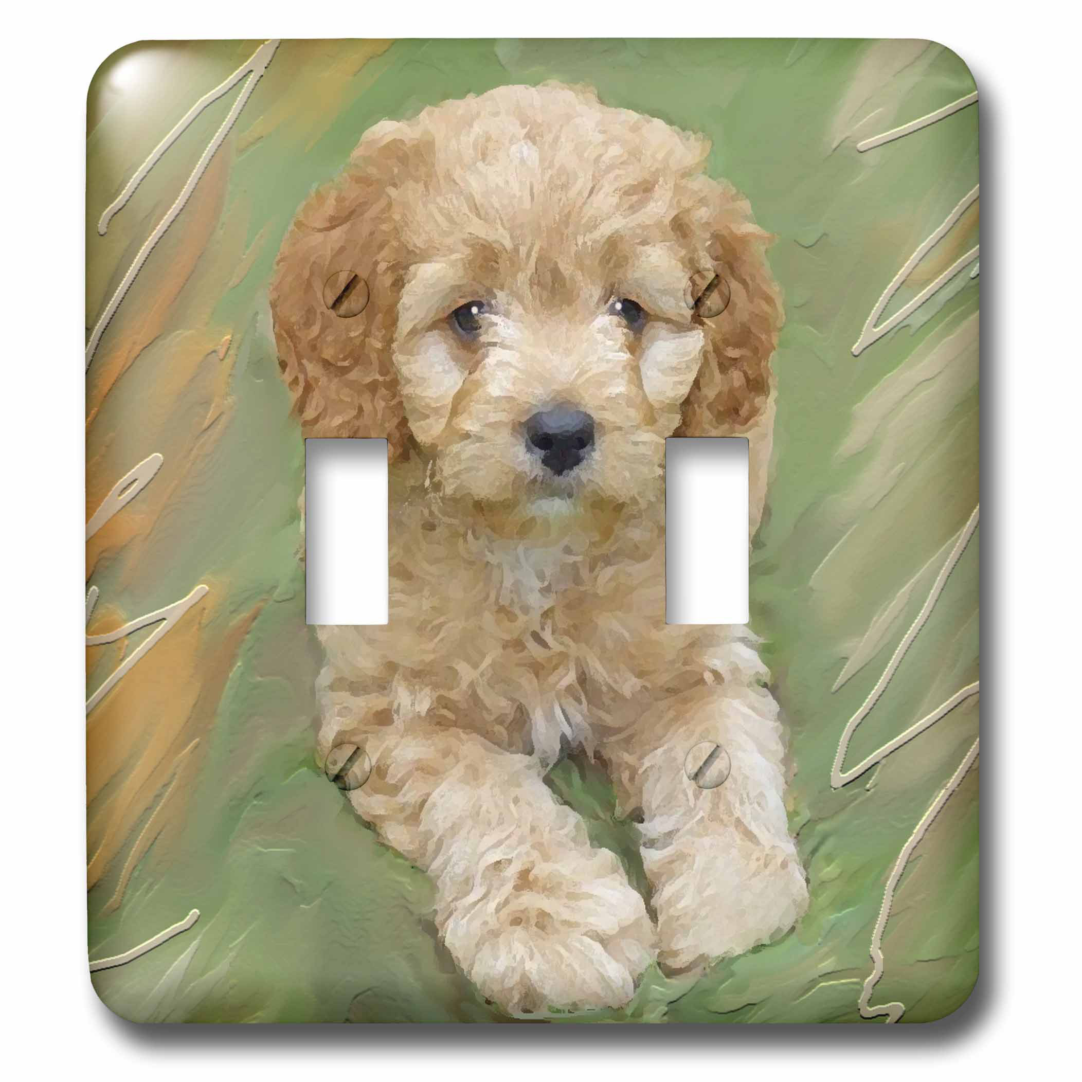 light apricot poodle