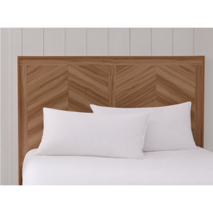 charisma bed pillows