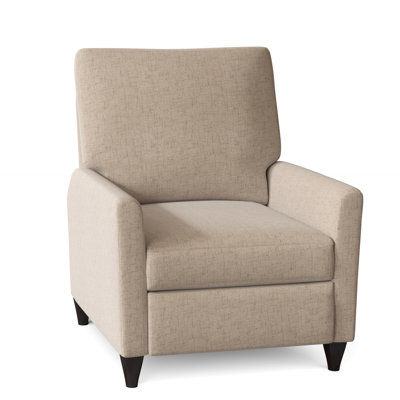 Ziolkowski 31" Wide Manual Recliner by Wade Logan