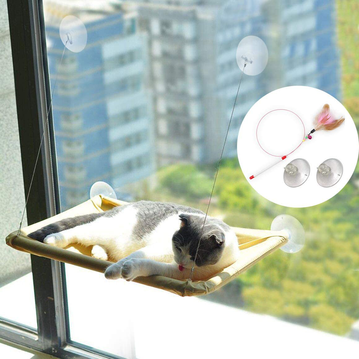 cat window shelf