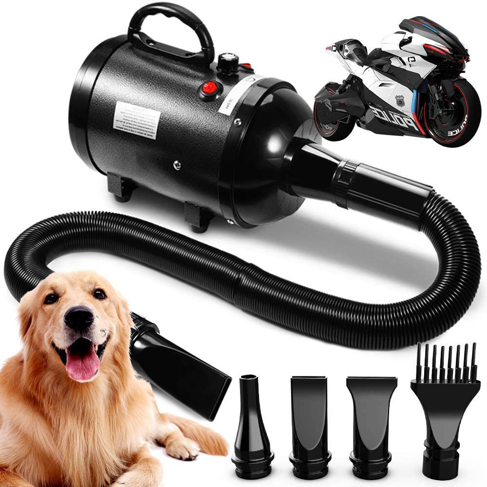 blower dog