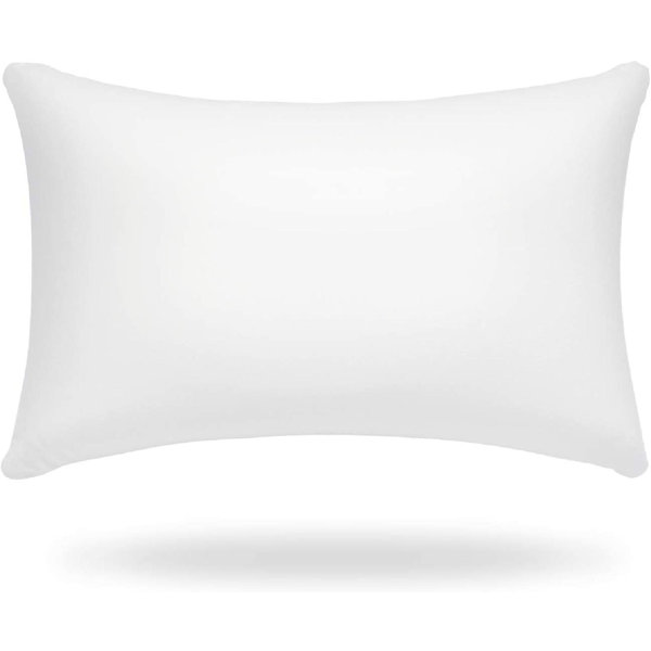 20 pillow insert
