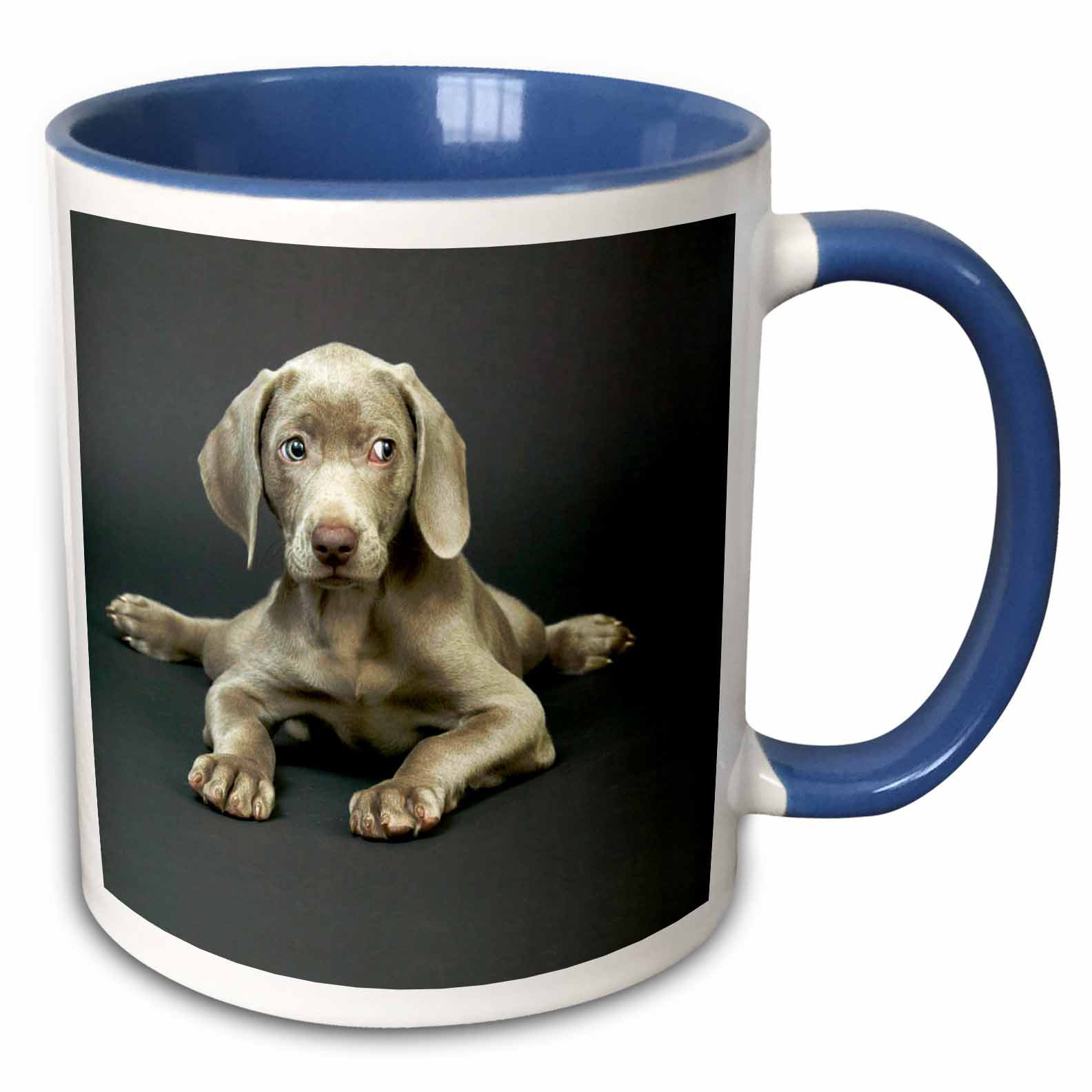 weimaraner coffee mugs