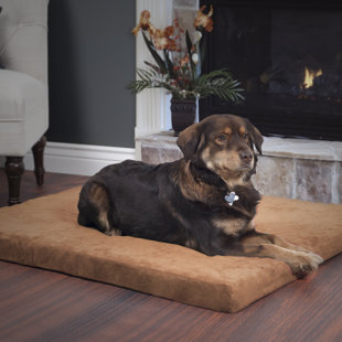 cedar filled dog bed