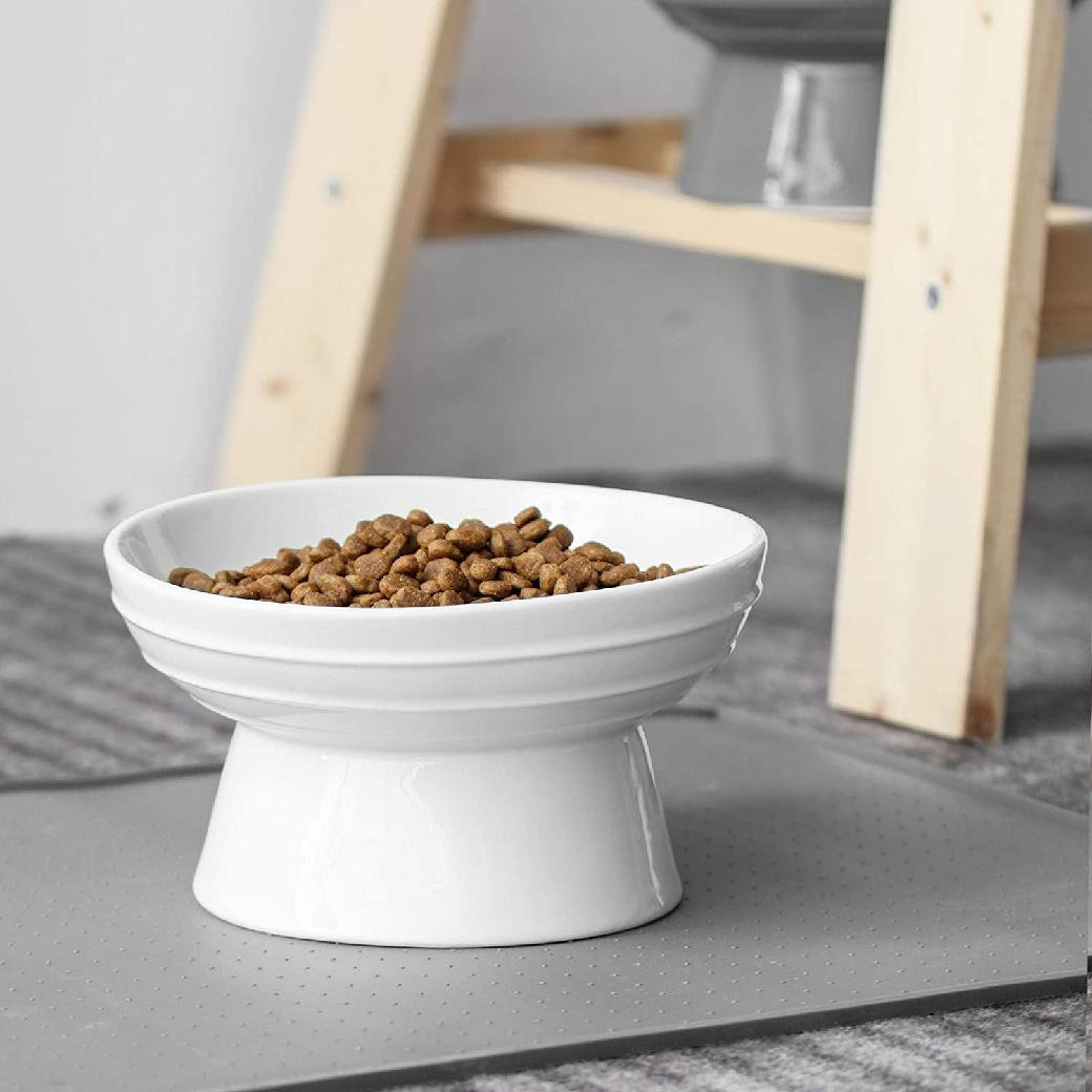 microwavable dog bowl