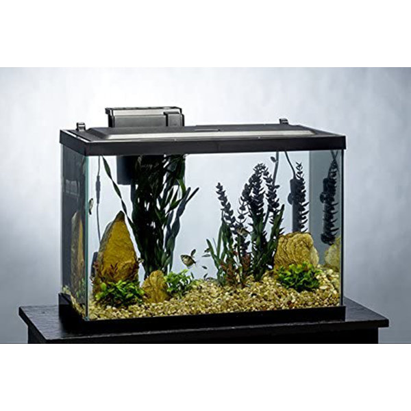 fish tank kit