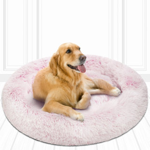 hot pink dog bed