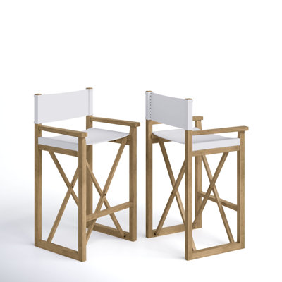 Chestle Bar & Counter Stool by Joss and Main