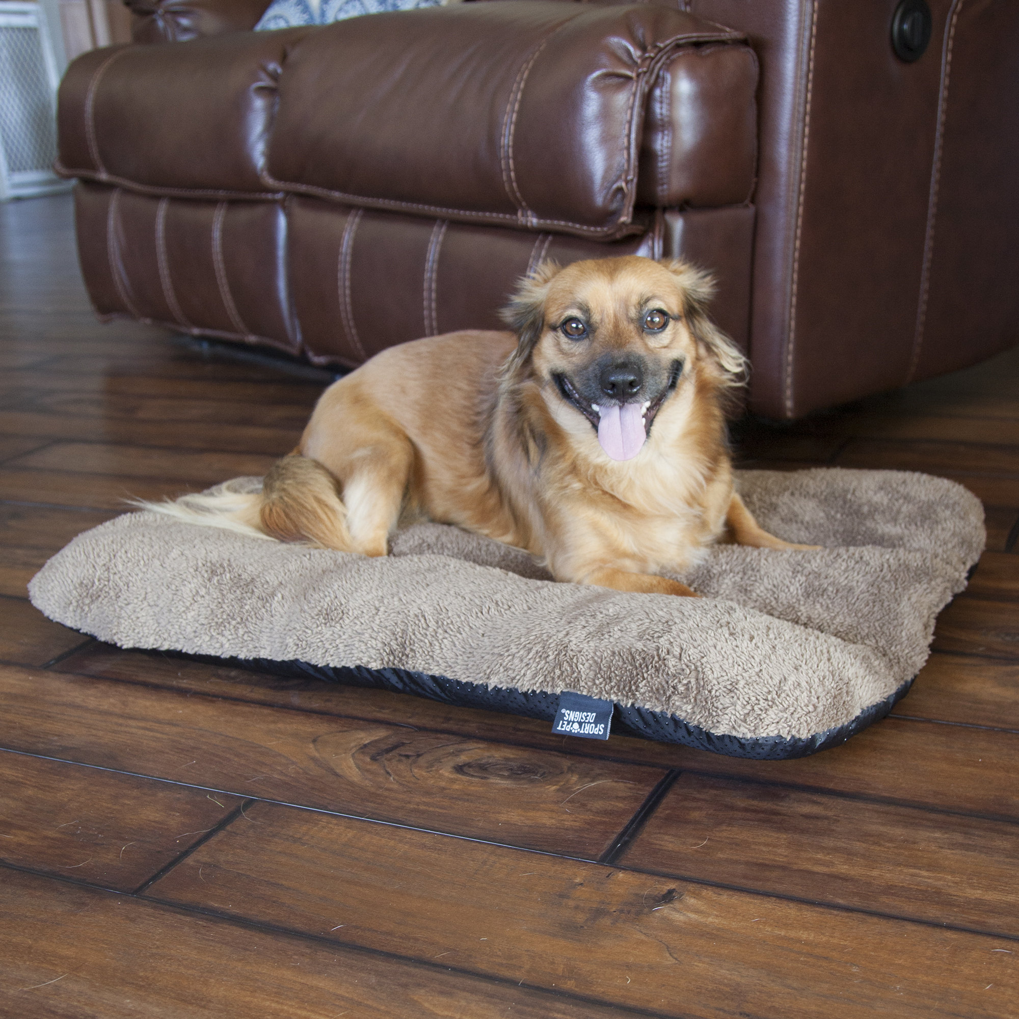 dog couch pad