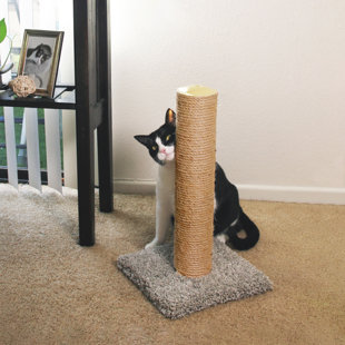 classy kitty scratching post