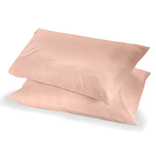 large box pillow cases