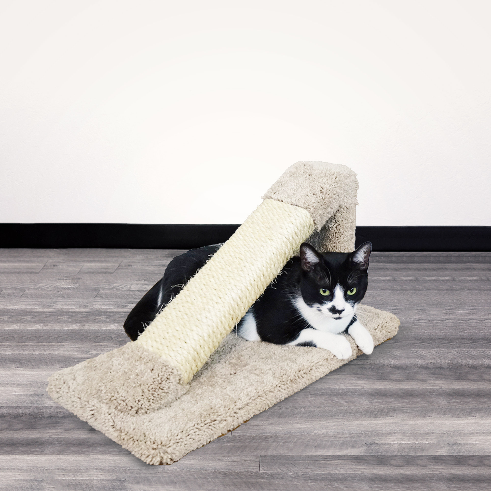 premier cat tree