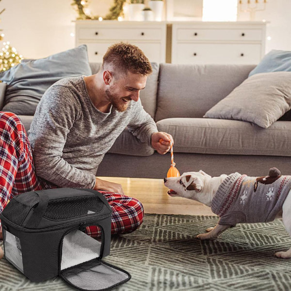 large soft dog carrier