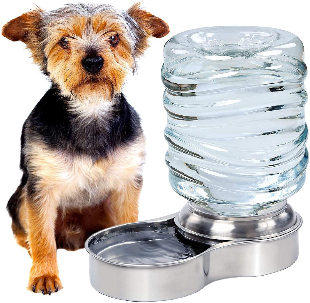 cleaning dog bowls